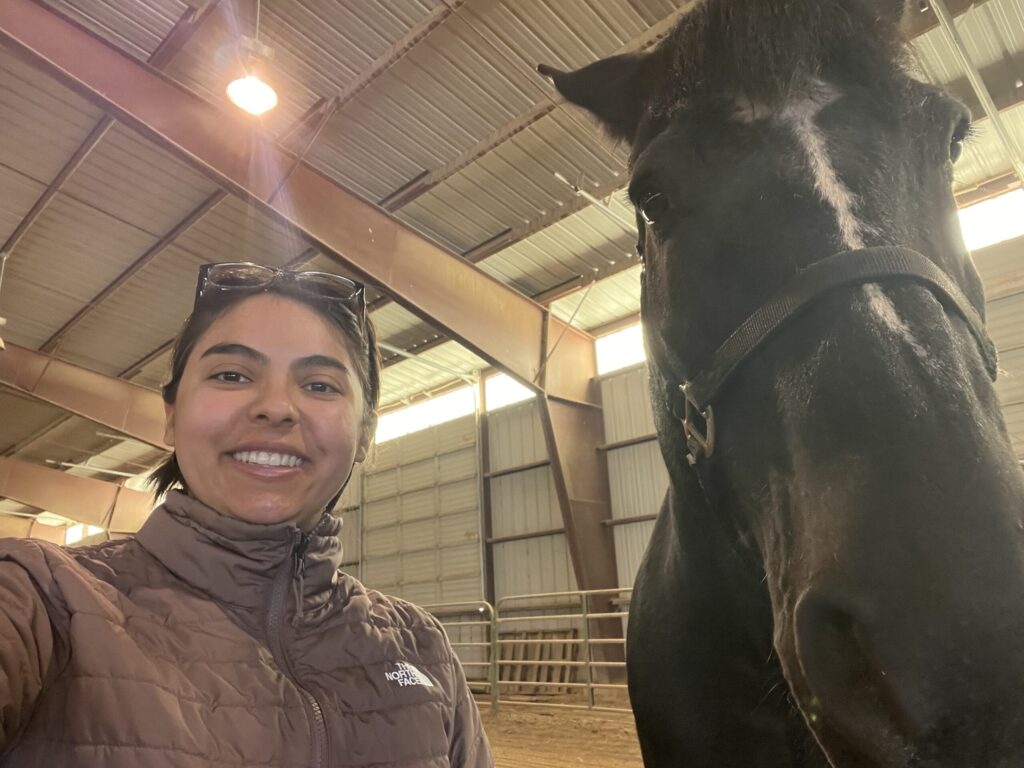 Student takes a selfie with a brown horse inside a barn