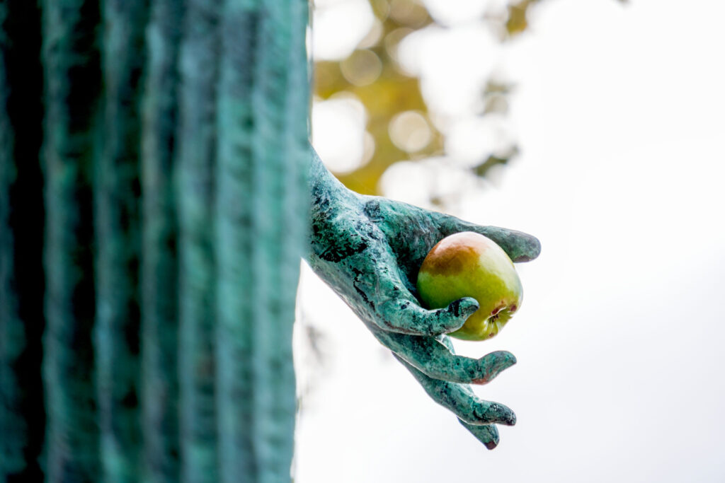 An apple sits in the hand of the Minerva status on the UNC Greensboro campus.