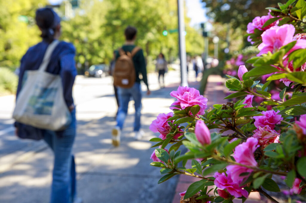Students walk past blooming flowers at UNCG.