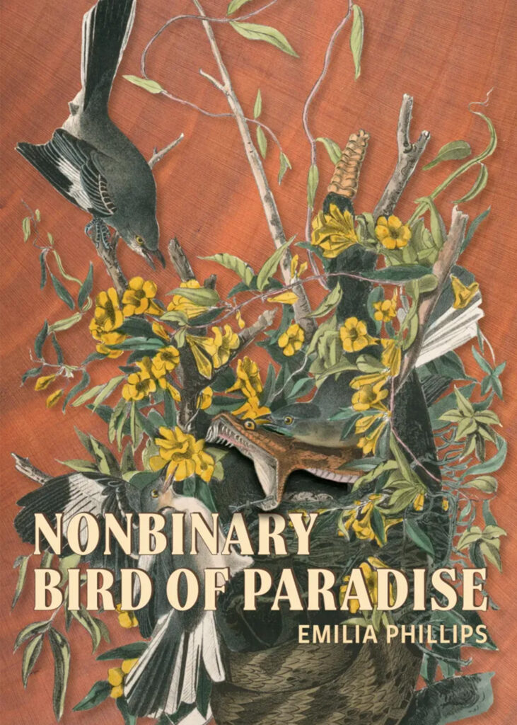 Book cover for Nonbinary Bird of Paradise with an illustration of birds nesting with flowers and a snake striking from inside the nest.