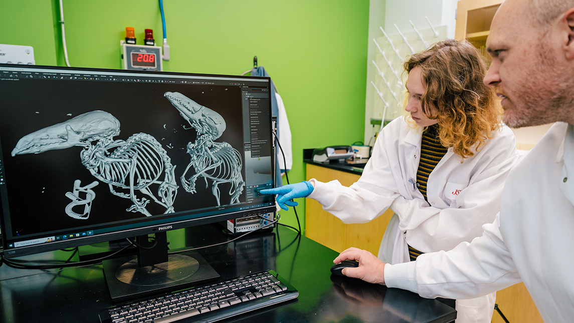 UNCG student Leo Ivey Dr. Bryan McLean look at the skeleton of a bird on a screen.