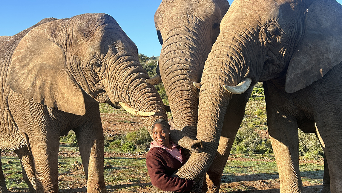 A student stands with elephants in South Africa