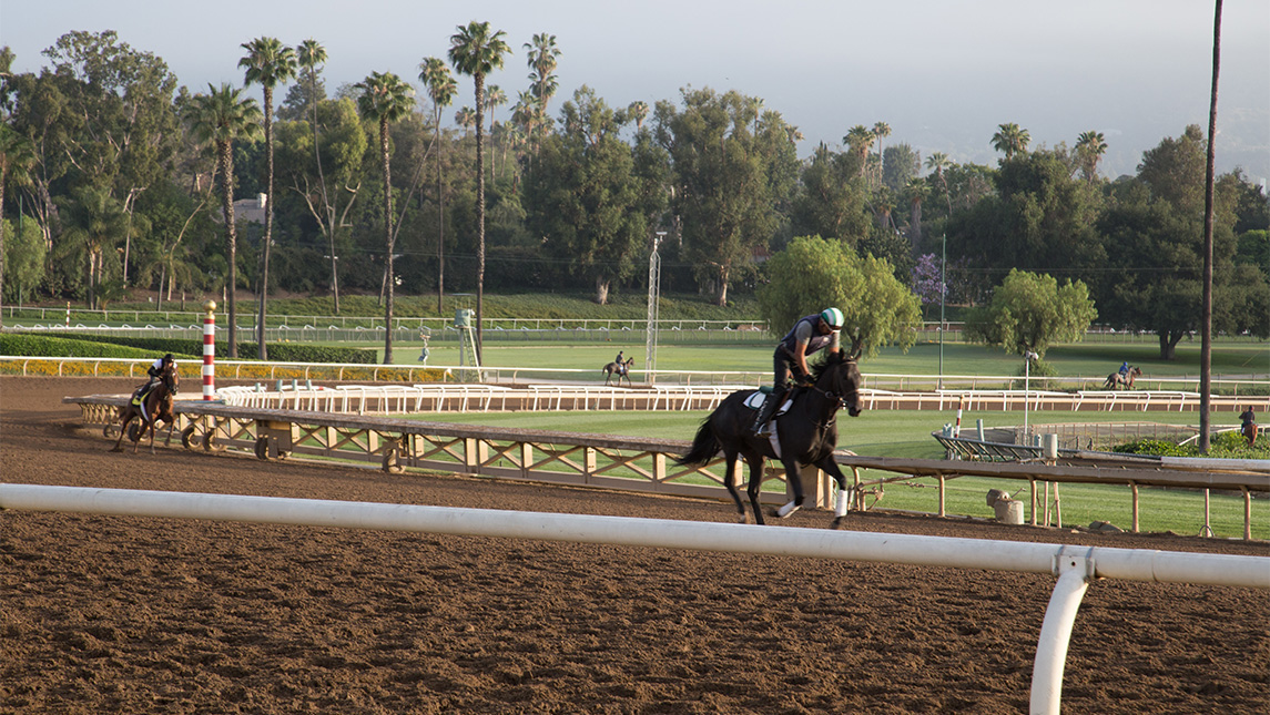 A jockey rides a horse around a track.