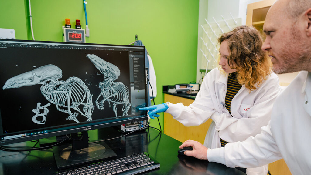 Dr. Bryan McLean and undergraduate Leo Ivey in the biology department use UNCG’s Micro-CT scanner to image masked shrews.