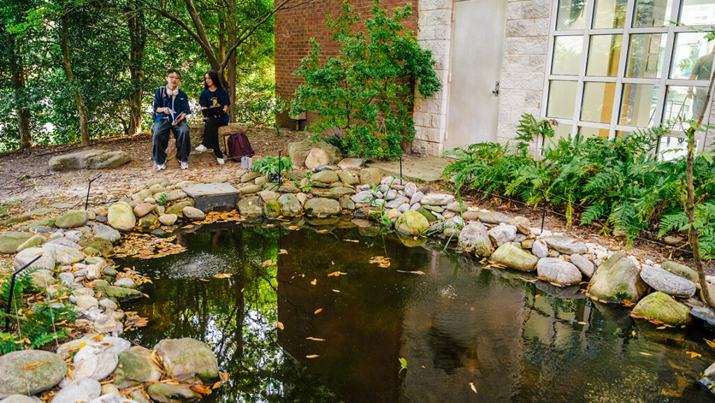 Students work on homework beside a pond at UNCG.