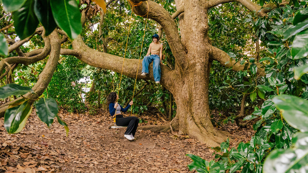 Students chat while one swings and the other climbs a branch of a giant magnolia tree in UNCG Foust Park.