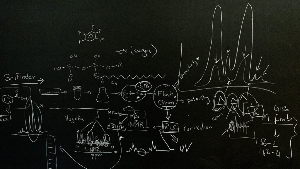 A blackboard covered with a formula.