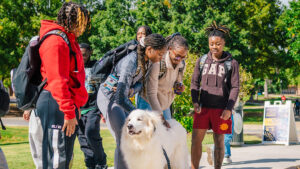 UNCG students pet a dog outside.