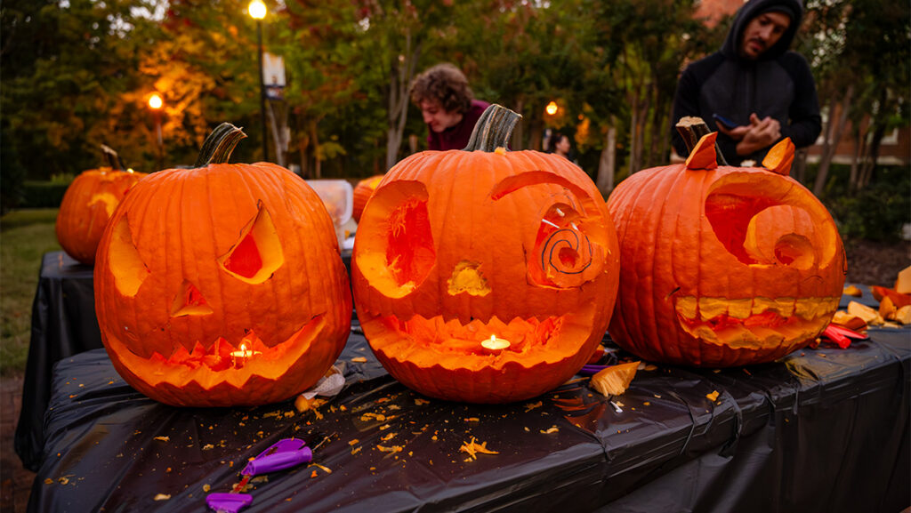 Three jack-o-lanterns carved by UNCG students.