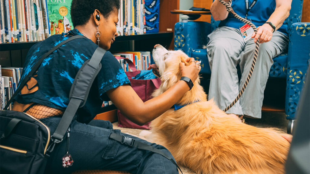 A UNCG student pets a therapy dog who is visiting the library.